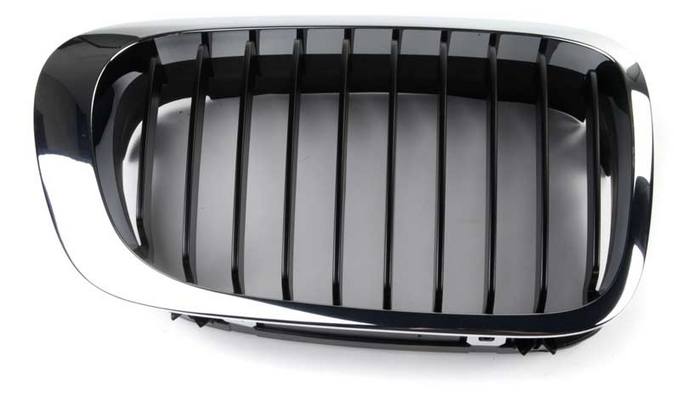 BMW Kidney Grille - Front Passenger Side (Black) 51138208684